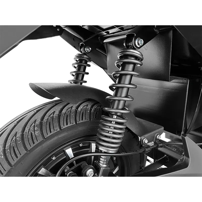 Cheap Electric Transportation for Adults by the Energetic-2 2