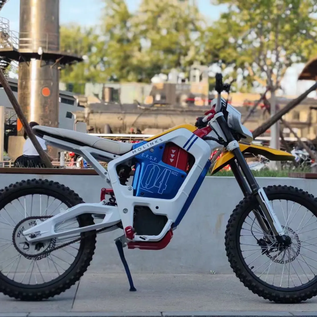 Best Best Electric Motorbike 3