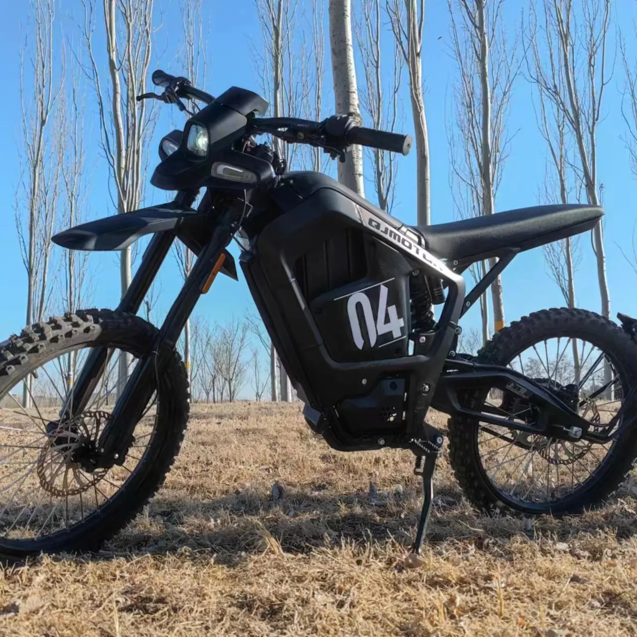 Best Best Electric Motorbike 5