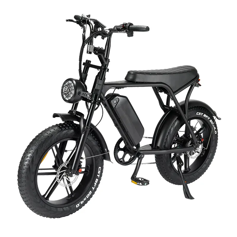 Cheap Electric Bicycle by the Energetic 2