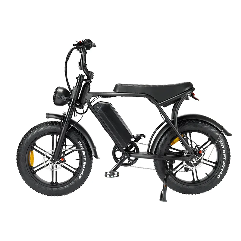 Cheap Electric Bicycle by the Energetic 3