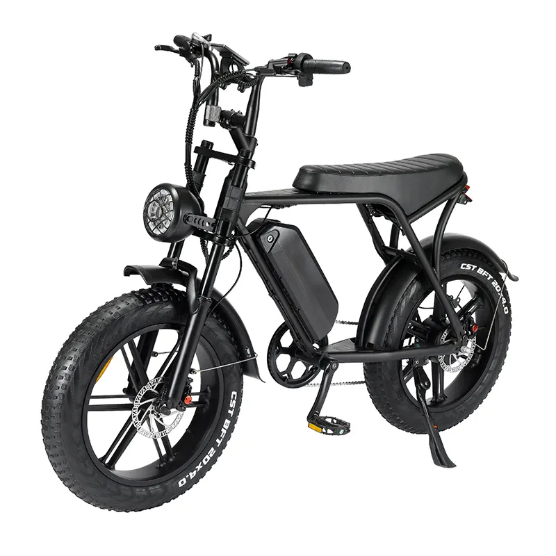 Cheap Electric Bicycle by the Energetic 5