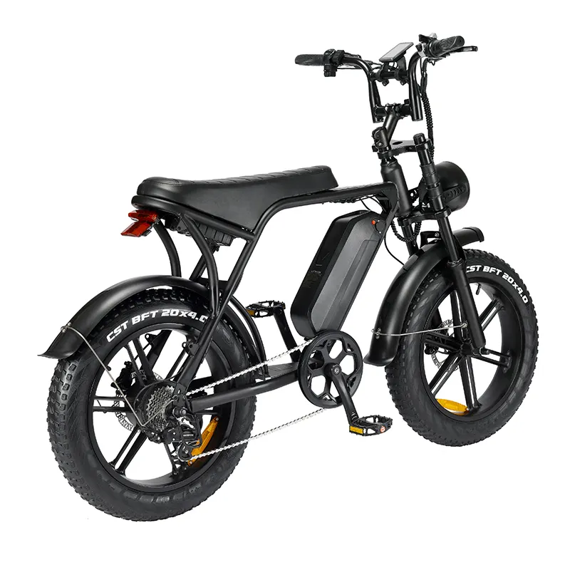 Cheap Electric Bicycle by the Energetic 6
