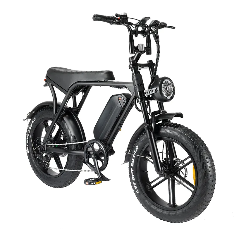 Cheap Electric Bicycle by the Energetic 7