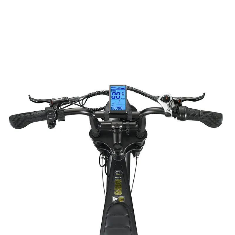 Cheap Electric Bicycle by the Energetic 9
