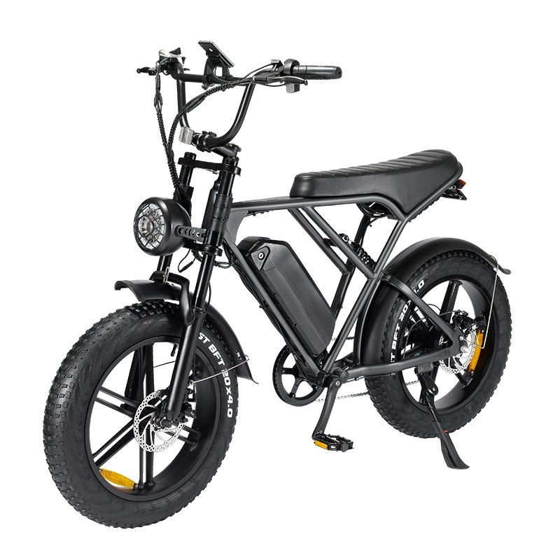 Vélo électrique avec moteur haute puissance et frein à disque FLUX-H9 pour les déplacements domicile-travail 1
