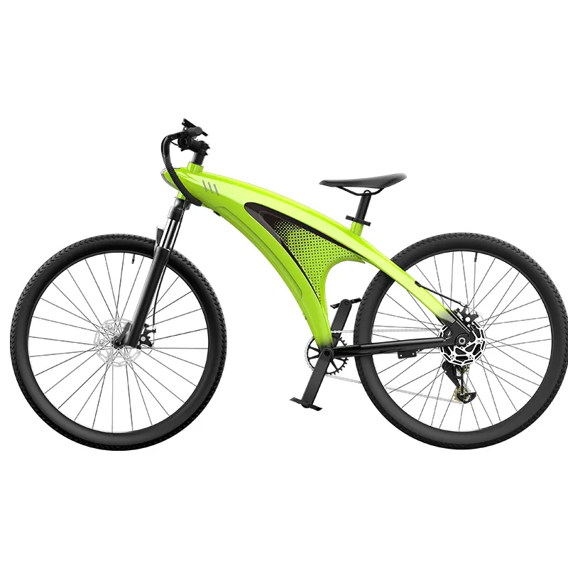 Electric Cycle Wholesale by the Energetic 5