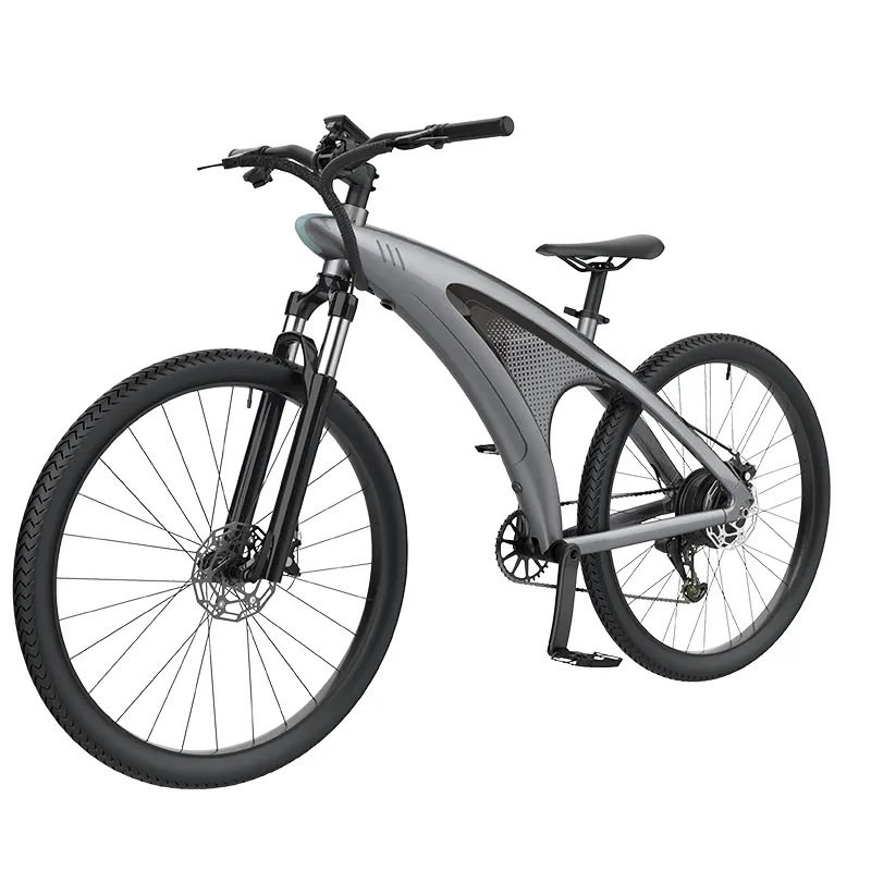 Electric Cycle Wholesale by the Energetic 8