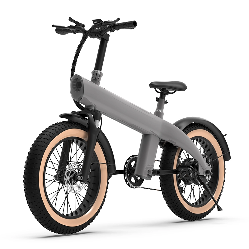 Intelligent Anti-theft Electric Bicycle with Lightweight Body C-FLUX Q3 1