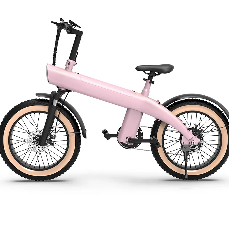 Best Anti Theft Electric Bike - - the Energetic 9