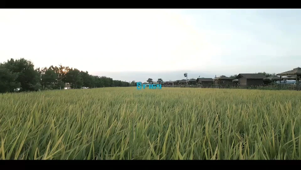 Drone de photographie aérienne haute définition, évitement Intelligent d'obstacles ENERGY-F169 1