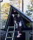 Electric Transportation for Adults - - the Energetic-4 4