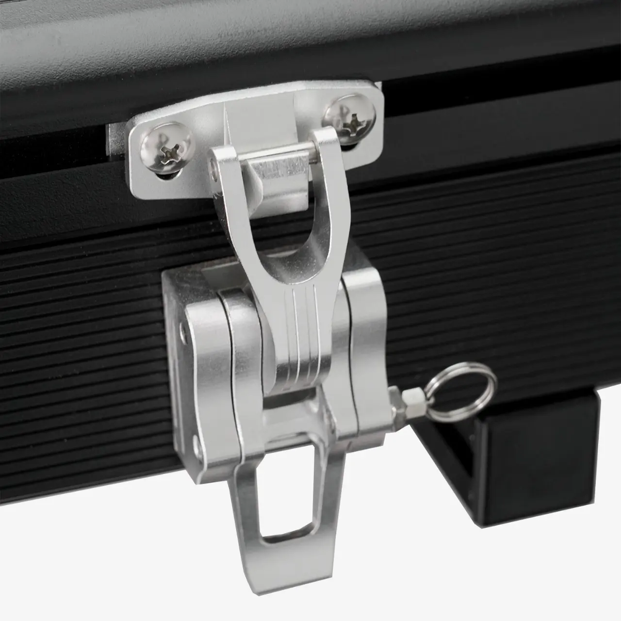Portable Electric Transportation - - the Energetic-2 7