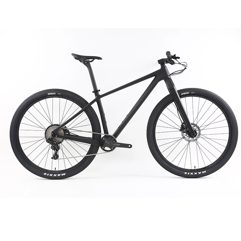 Carbon Fiber Bicycle with SHIMANO MT200 Hydraulic Disc Brakes in Matt Grey  P-ENERGY-LT 1