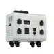 Electric Transportation for Adults - - the Energetic-3 2