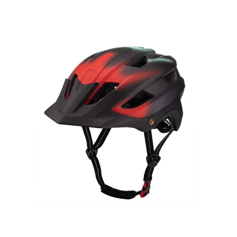 Mountainbike-Helm EPS-Material Schwarz Heißgepresstes, insektensicheres Netz-DN-001 1