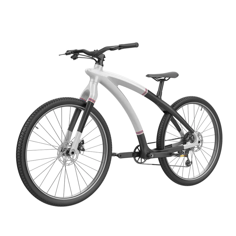 Portable Electric Transportation by the Energetic-1 2