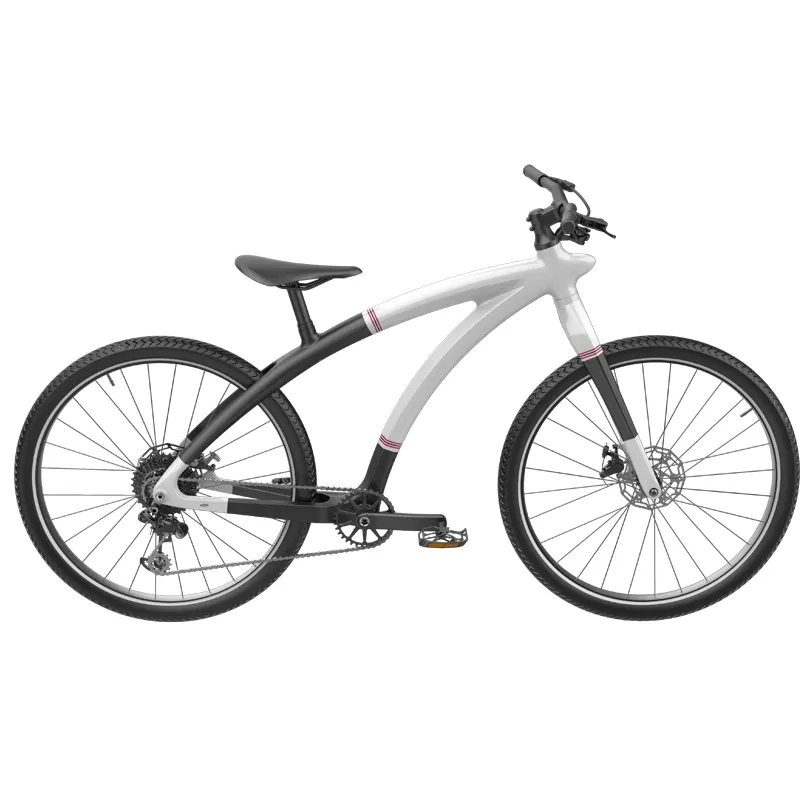 Portable Electric Transportation by the Energetic-1 6