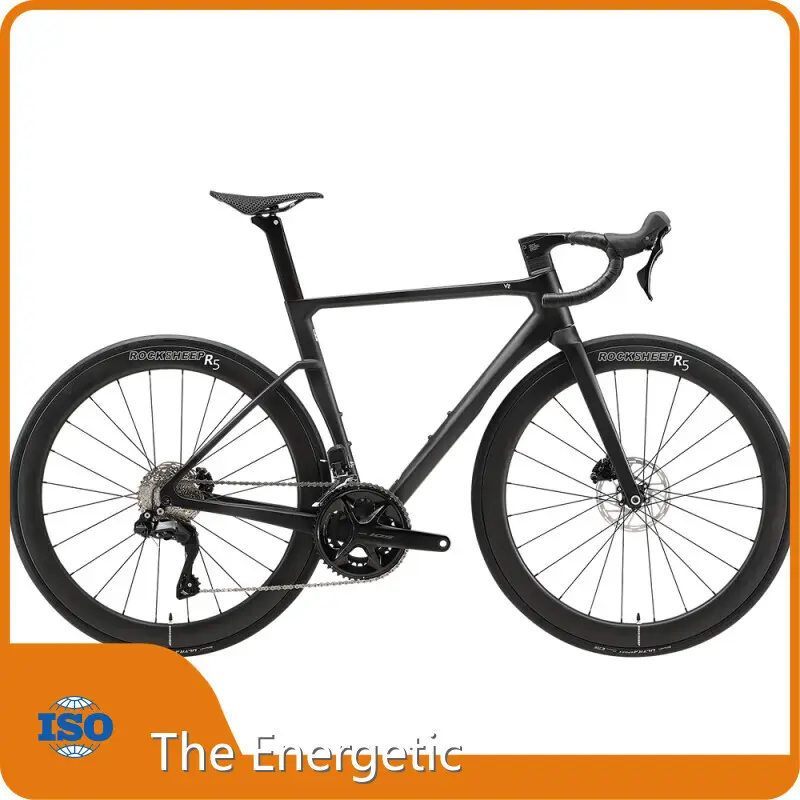 Electric Transportation for Adults - - the Energetic 1