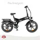 Electric Bicycle Wholesale by the Energetic 1