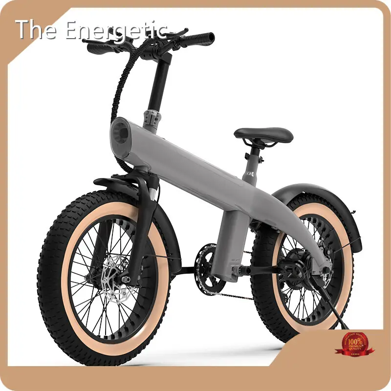 Best Anti Theft Electric Bike - - the Energetic 1