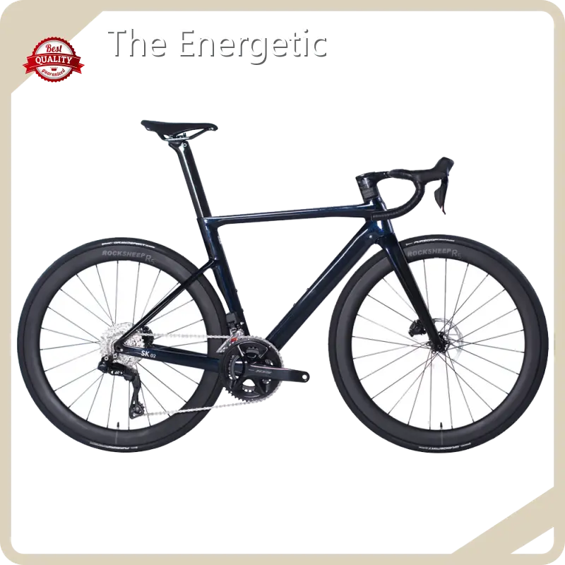 Cheap Electric Transportation for Adults by the Energetic 1