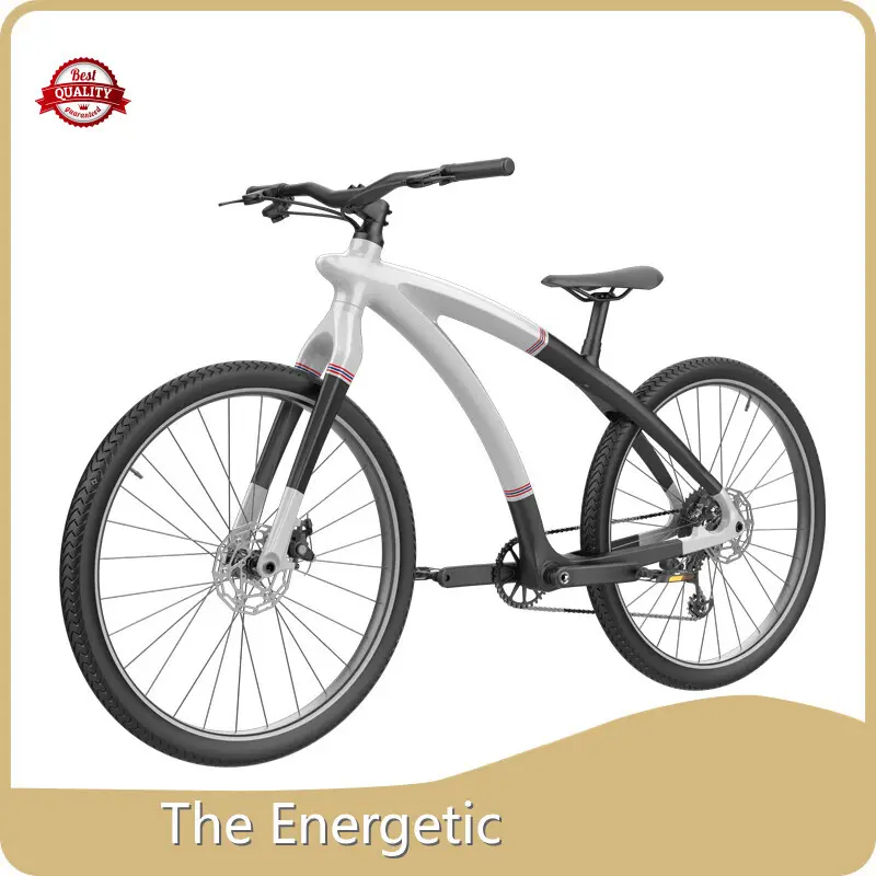 Portable Electric Transportation by the Energetic-1 1