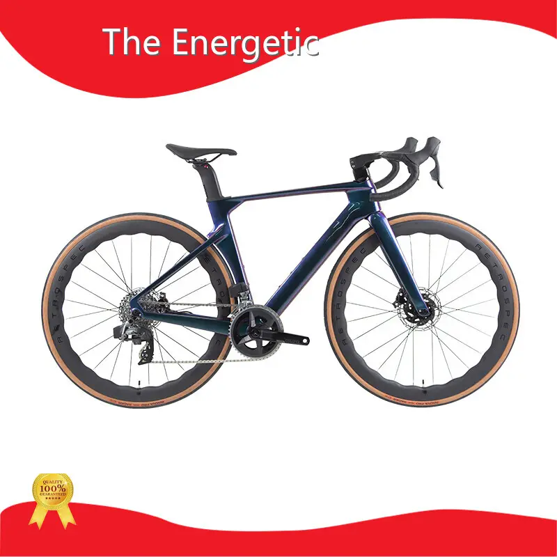 Electric Transportation for Adults - - the Energetic-1 1