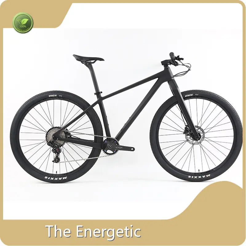 Cheap Electric Transportation for Adults by the Energetic-1 1