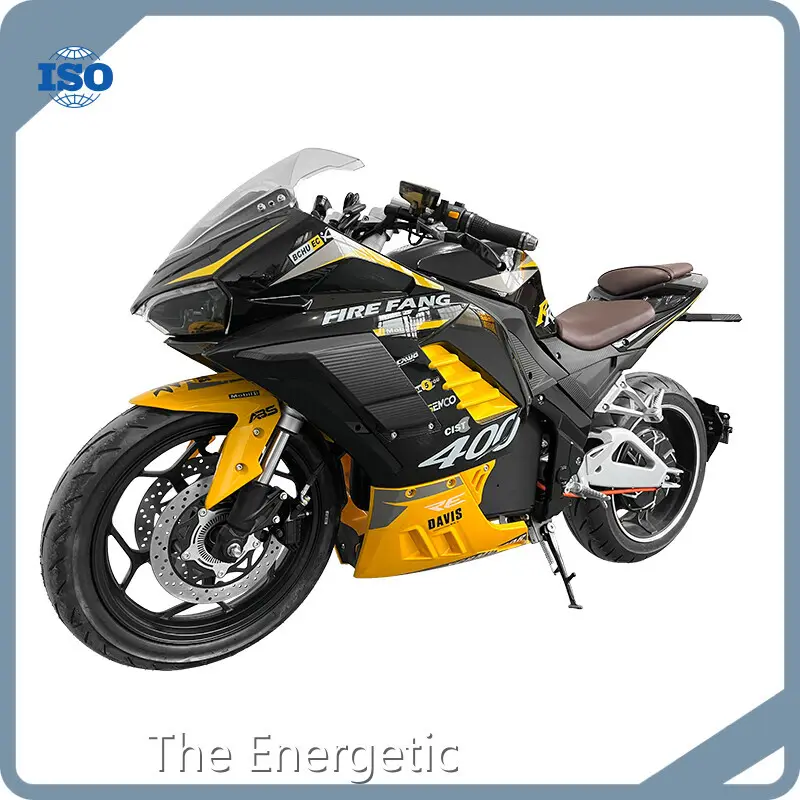 Cheap Electric Transportation for Adults Company 1