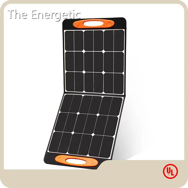 Solar Panels and Ev Charging by the Energetic 1