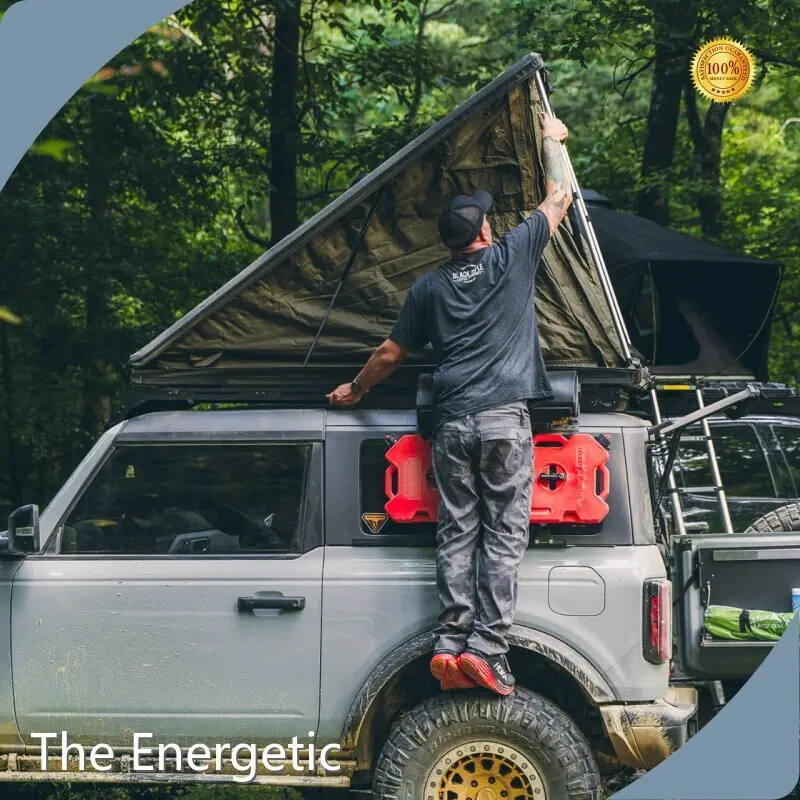 Electric Transportation for Adults - - the Energetic-4 1