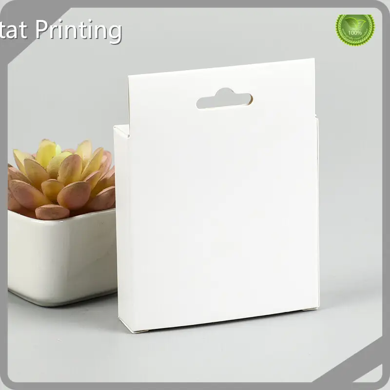 Hingtat Printing Kraft Paper Bag / Upply 1
