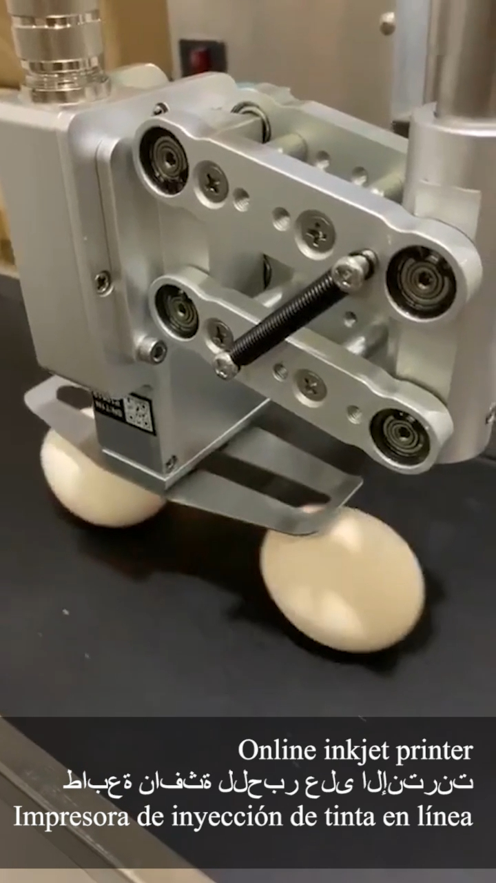 Egg surface data printer supports date QR code printing KX1G 1
