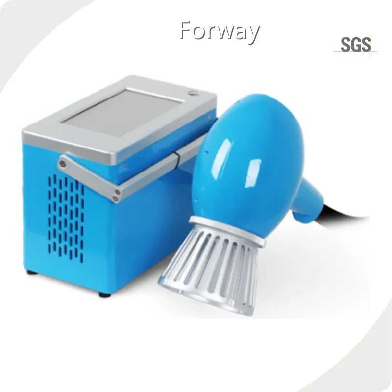 Mini Portable Fiber Laser Marking Machine Suppliers 1