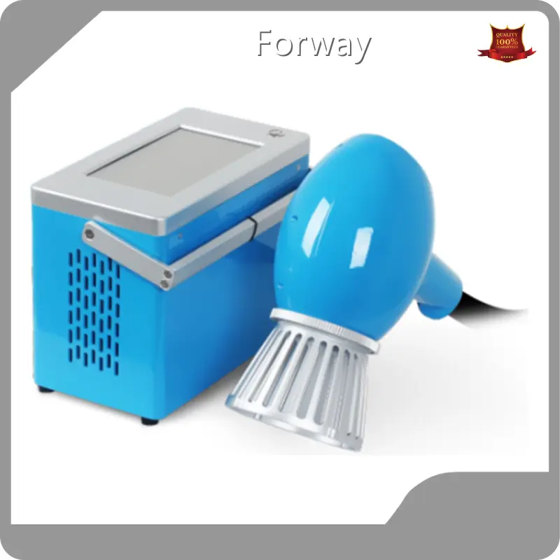 Top Laser Marking Machine Portable Price List 1