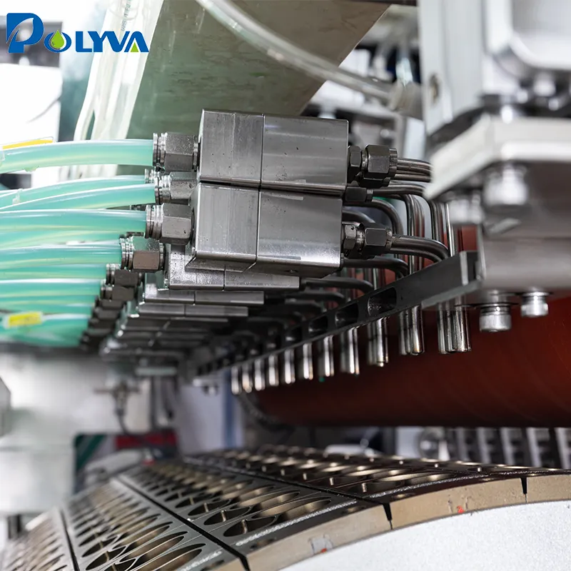 POLYVA Water Soluble Film Packaging 1-25g(customized) for Sale 3