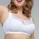 Custom Bra None - - Rosaria Lingerie 2
