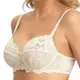 Ladies Bra Manufacturer OEM Service - - Rosaria Lingerie 2