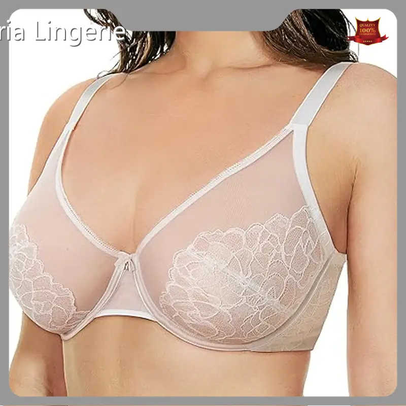Custom Size Bras None by Rosaria Lingerie 1