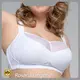 Custom Bra None - - Rosaria Lingerie 1