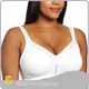 Sutiãs macios sem aro para adultos - Rosaria Lingerie 1