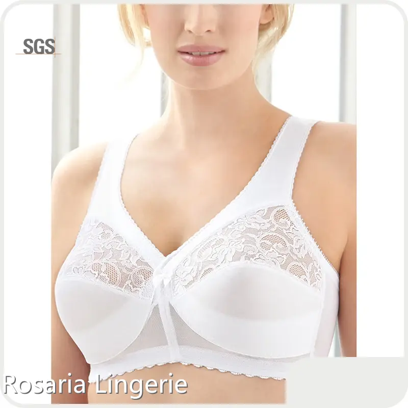 Wholesale Bra Manufacturer Everyday - - Rosaria Lingerie 1
