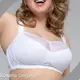 Wholesale Push Up Bras Plain Dyed by Rosaria Lingerie 1