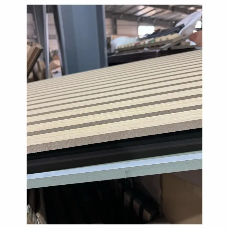 Acoustic Panel Company for House Factory 3