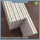 Best Sound Insulation Materials for House 1