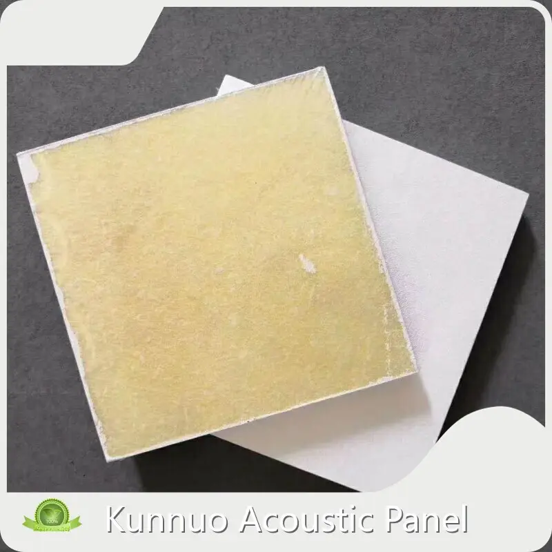 Best Custom Acoustic Wall Panels for House 1