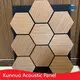 Acoustic Wall Panel Manufacturers Suppliers for Museum 1