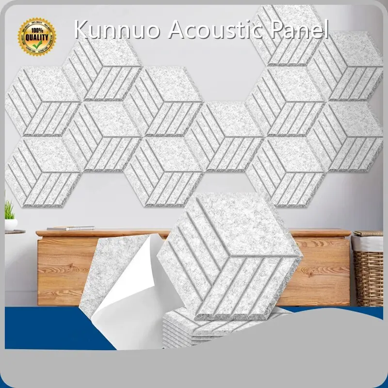 Custom Acoustic Ceiling Panels Company for House 1