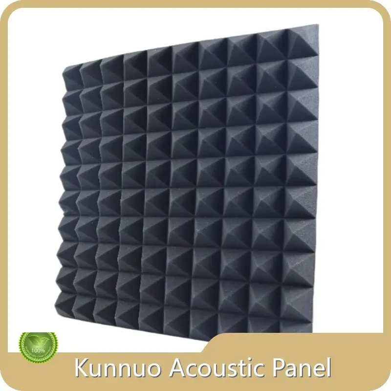 Sound Isolation Materials Suppliers for House 1